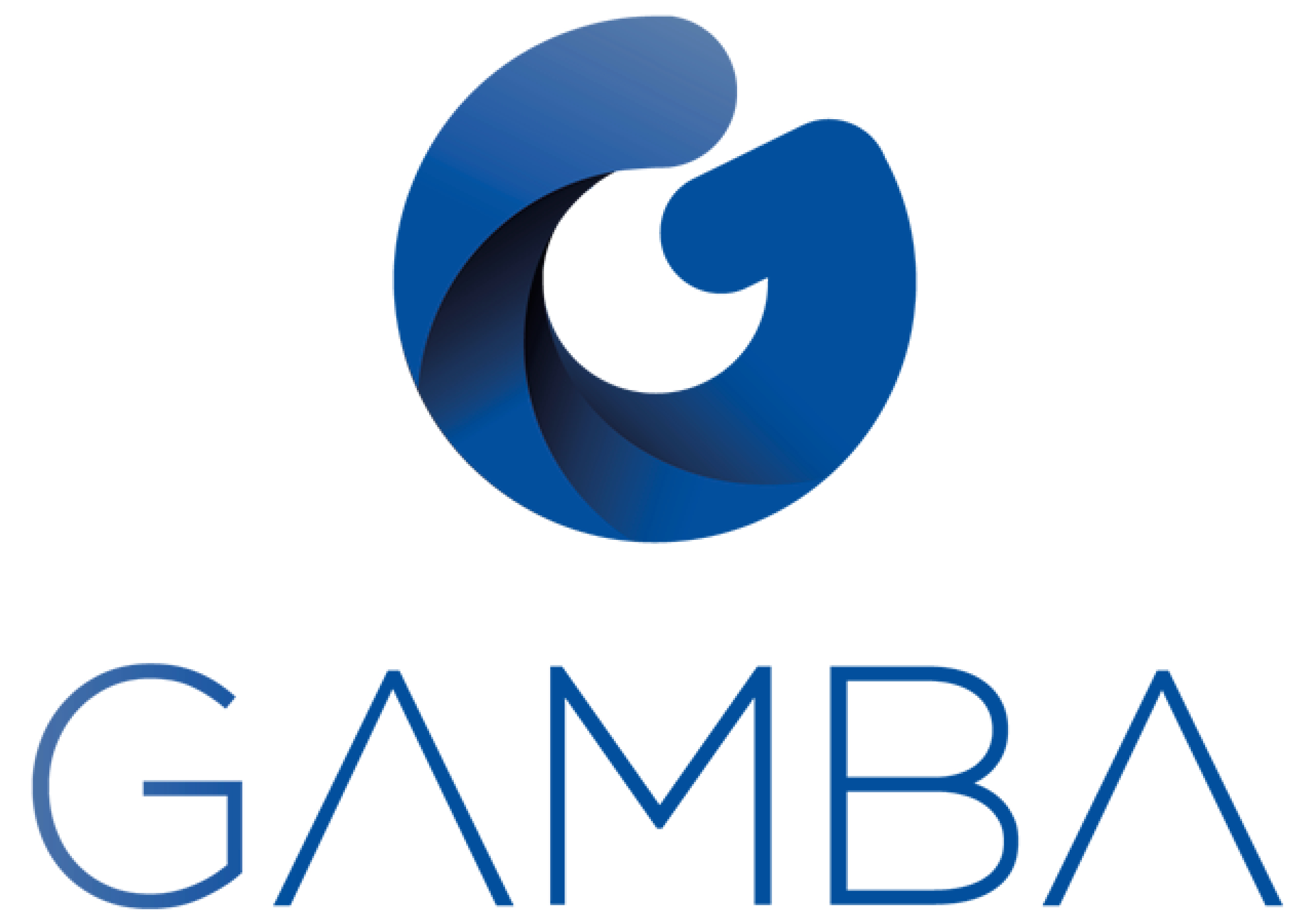 GROUPE GAMBA ACOUSTIQUE 